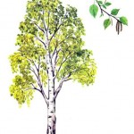 01labgi0l1238705044 ДЛЯ САМЫХ МАЛЕНЬКИХ МАТЕМАТИКОВ