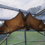 Математика малышам Математика малышам