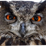 Результаты ЗНО по математике в 2014 году